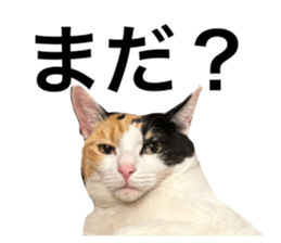 762312817