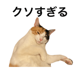 762312836