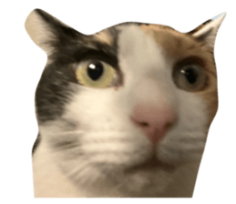 762312840