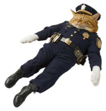 762329230