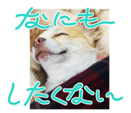 762332387