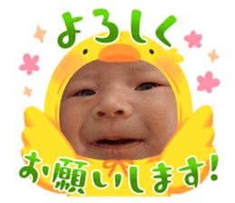 762336117
