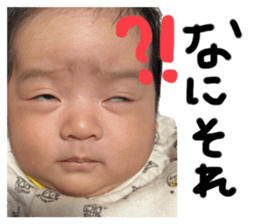 762336731
