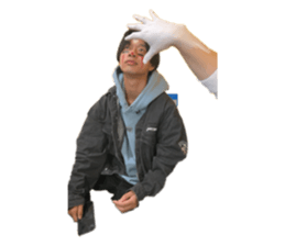 762337536
