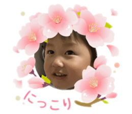 762342012