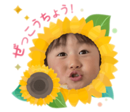 762342013