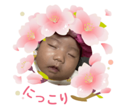 762342028