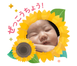762342029