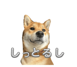 762342369