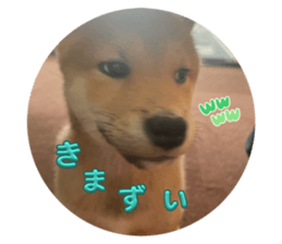 762342376