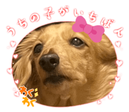 762343534