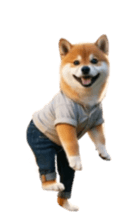 762354791