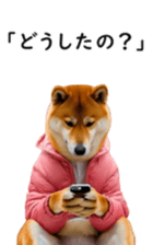 762354795