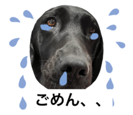762363885