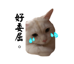 762368649