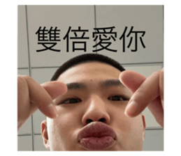 762378117
