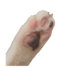 762379462