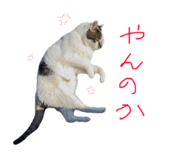 762379482