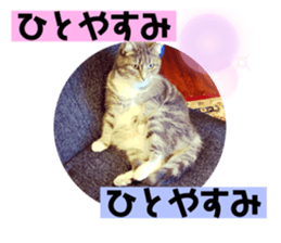 762407248