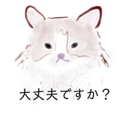 762408155
