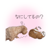 762408376
