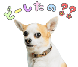 762409334