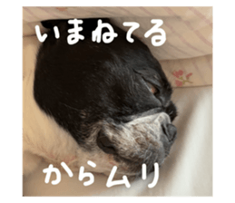 762413850