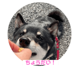 762414716