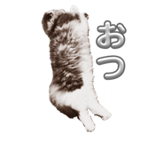 762417096