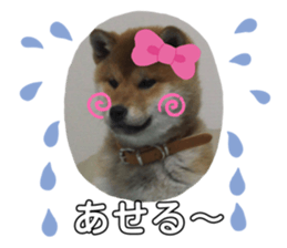 762422623