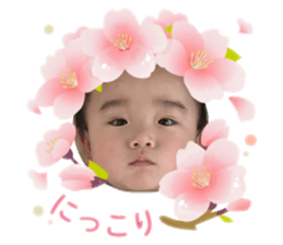 762423716