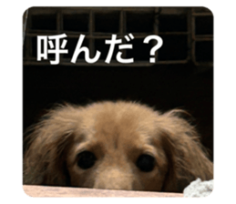 762427469