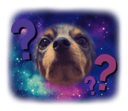 762429290