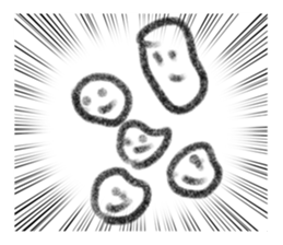 762430187