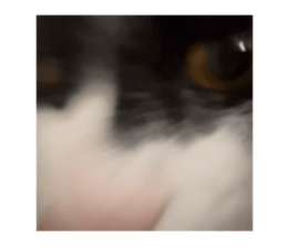 762430254