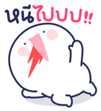 762431252