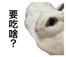 762432438