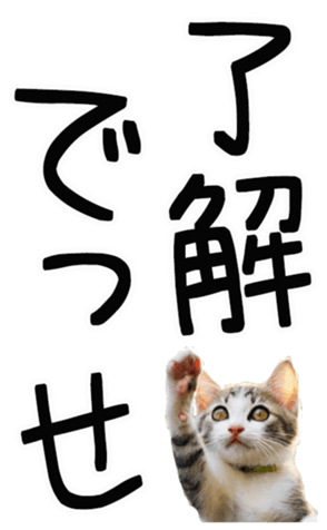 762435585