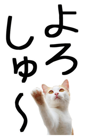 762435586