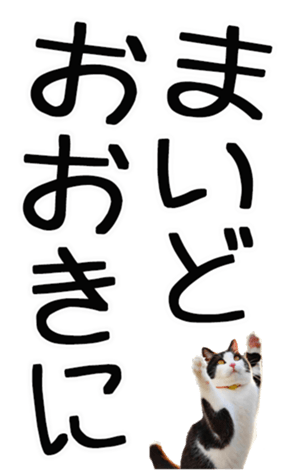 762435589