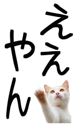 762435590