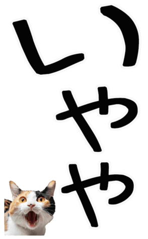 762435591