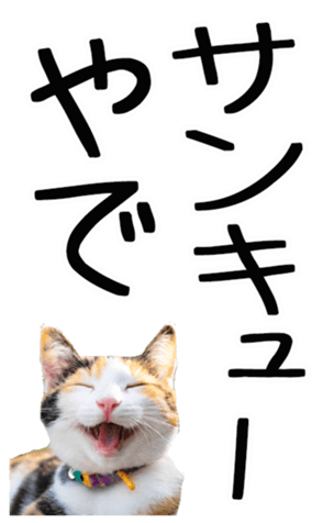 762435592