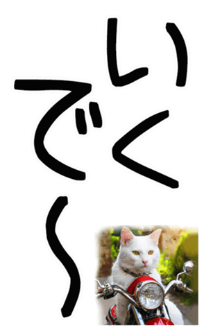 762435593