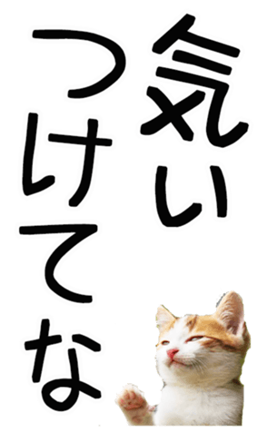 762435595
