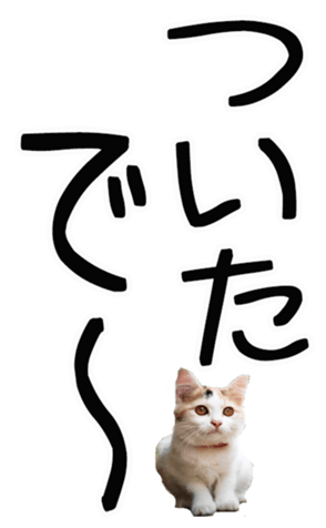 762435596