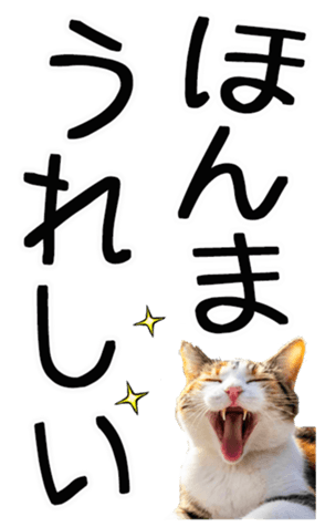 762435597