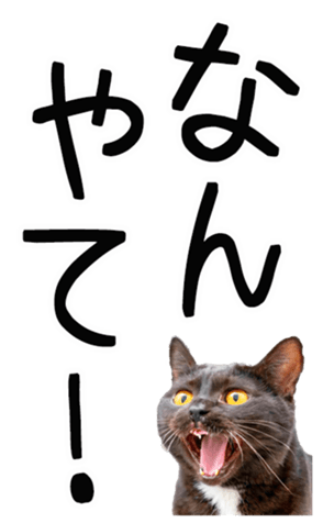 762435602