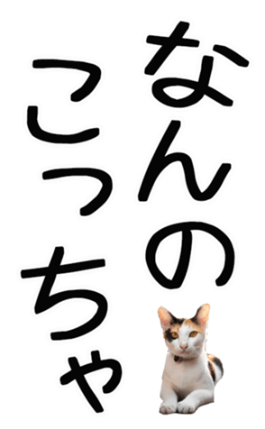 762435603