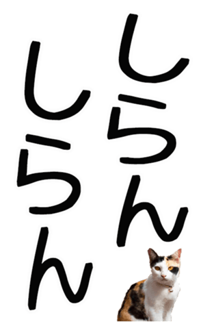 762435604